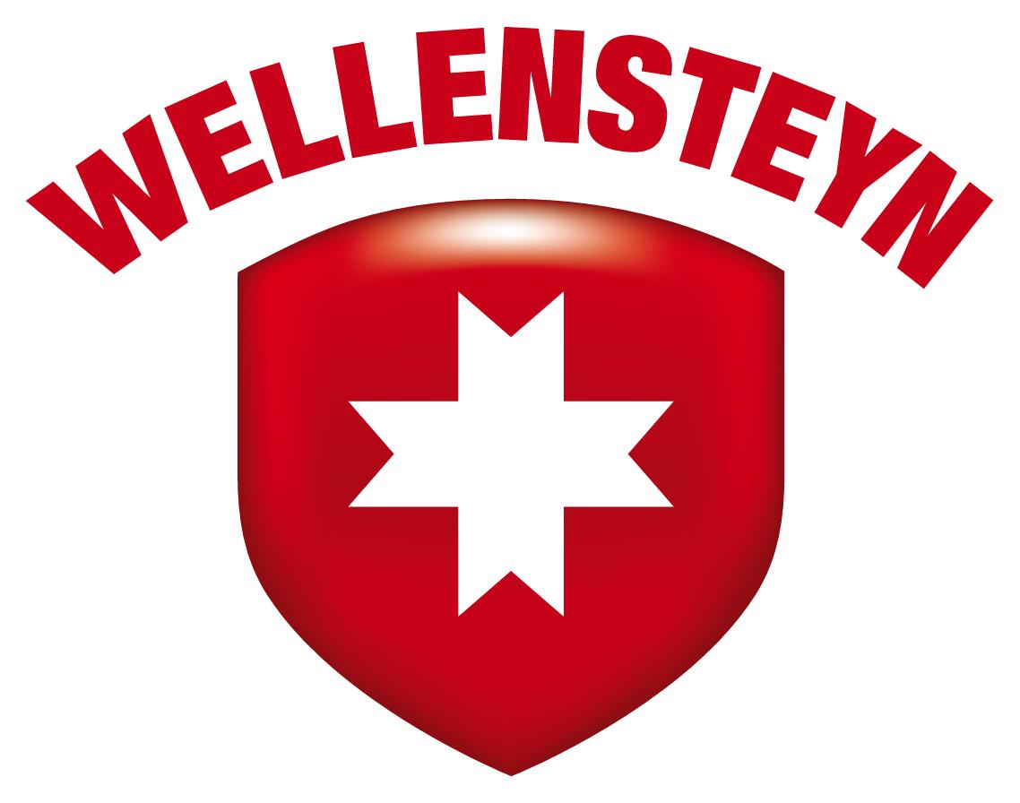 wellensteyn logo