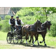 VENTUS KETTES FOGAT MARATON LÓSZERSZÁM