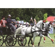 VENTUS KETTES FOGAT DÍJHAJTÓ LÓSZERSZÁM