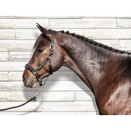 EQUILINE KÖTŐFÉK VEZETŐSZÁRRAL (FEKETE)