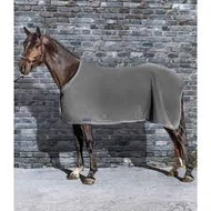 EQUILINE HUGO POLÁR LÓTAKARÓ