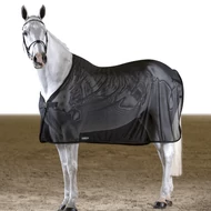 EQUILINE WESTON LÉGY ELLENI LÓTAKARÓ