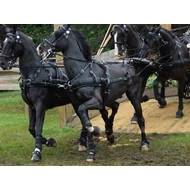 ZILCO ELITE NÉGYES LÓSZERSZÁM 