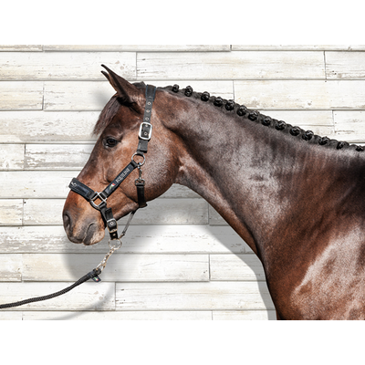 EQUILINE KÖTŐFÉK VEZETŐSZÁRRAL (SÖTÉTKÉK)