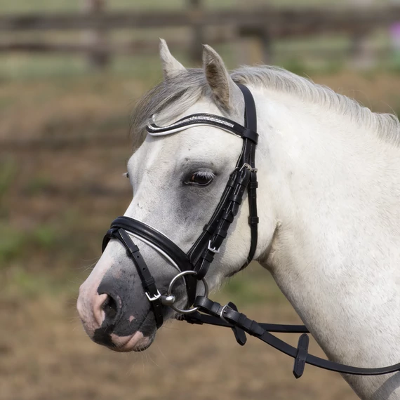 BUSSE PONY KANTÁR