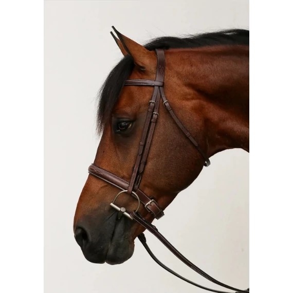 EQUILINE SCOTT STEWART LOVAGLÓKANTÁR