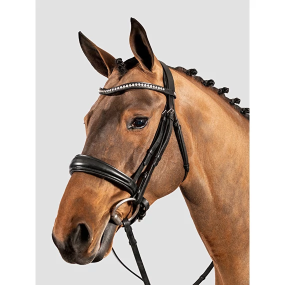 EQUILINE BD602 KANTÁR