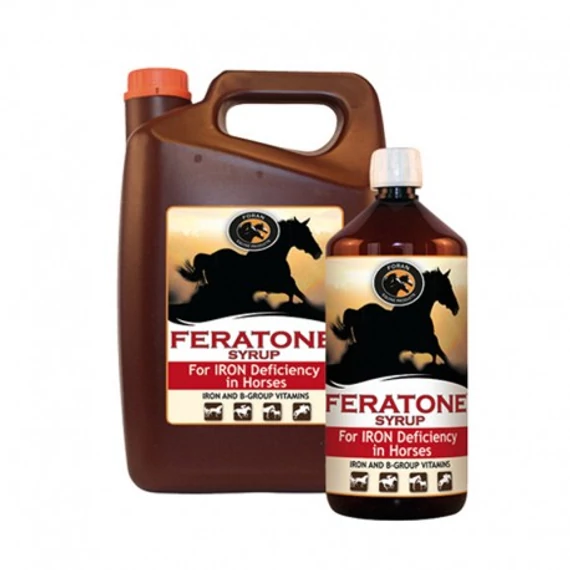 FORAN FORANTE SYRUP VÉRKÉPZŐDÉST ELŐSEGÍTŐ 1L