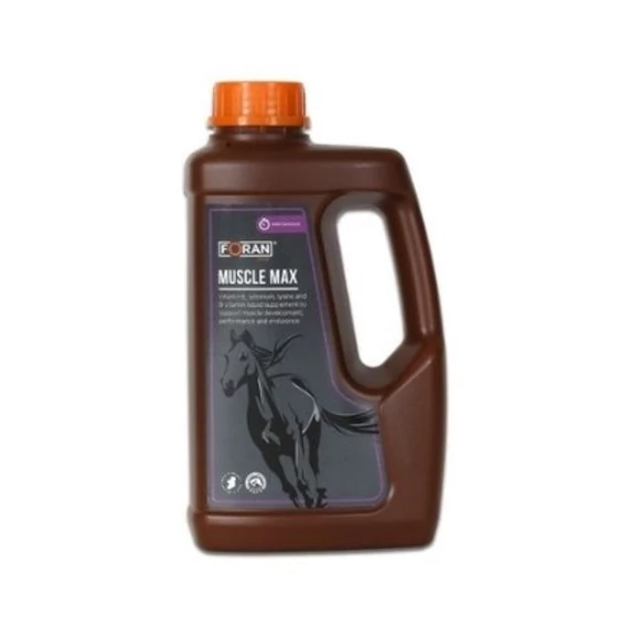 FORAN MUSCLE MAX 1L IZOMFEJLŐDÉS ELŐSEGÍTÉSÉRE