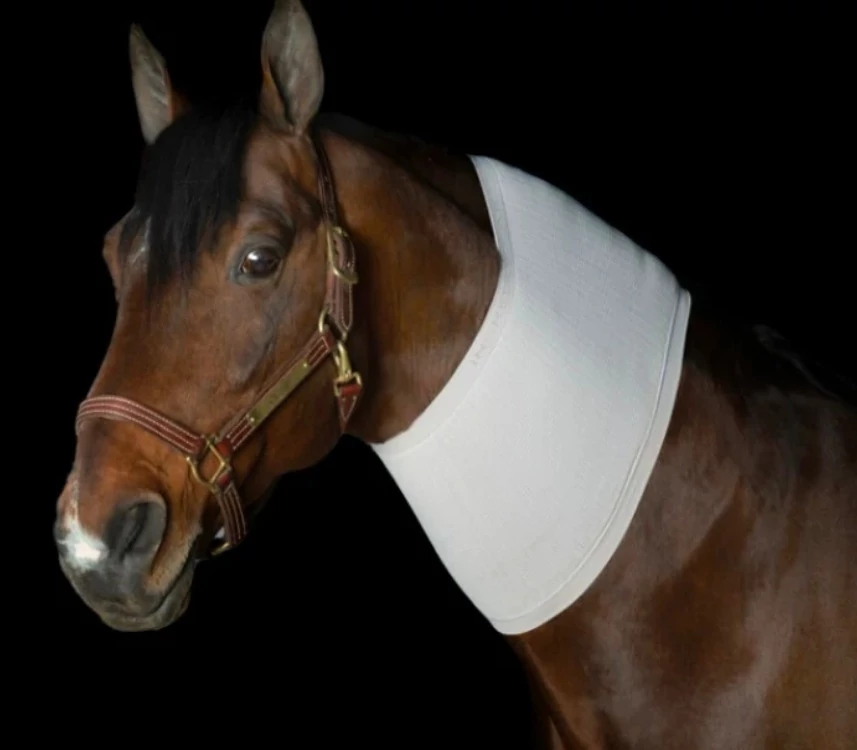 Incrediwear Equine vérkeringést serkentő nyakpánt