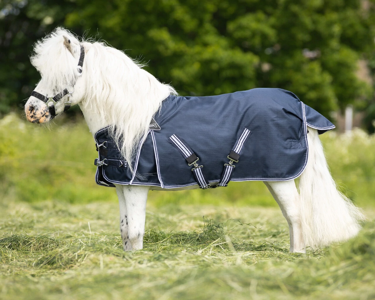 QHP VÍZÁLLÓ LÉLEGZŐ PONY TÉLI LÓTAKARÓ 200GR