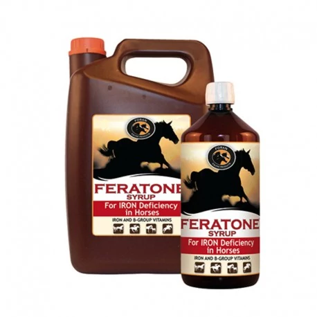 FORAN FORANTE SYRUP VÉRKÉPZŐDÉST ELŐSEGÍTŐ 1L