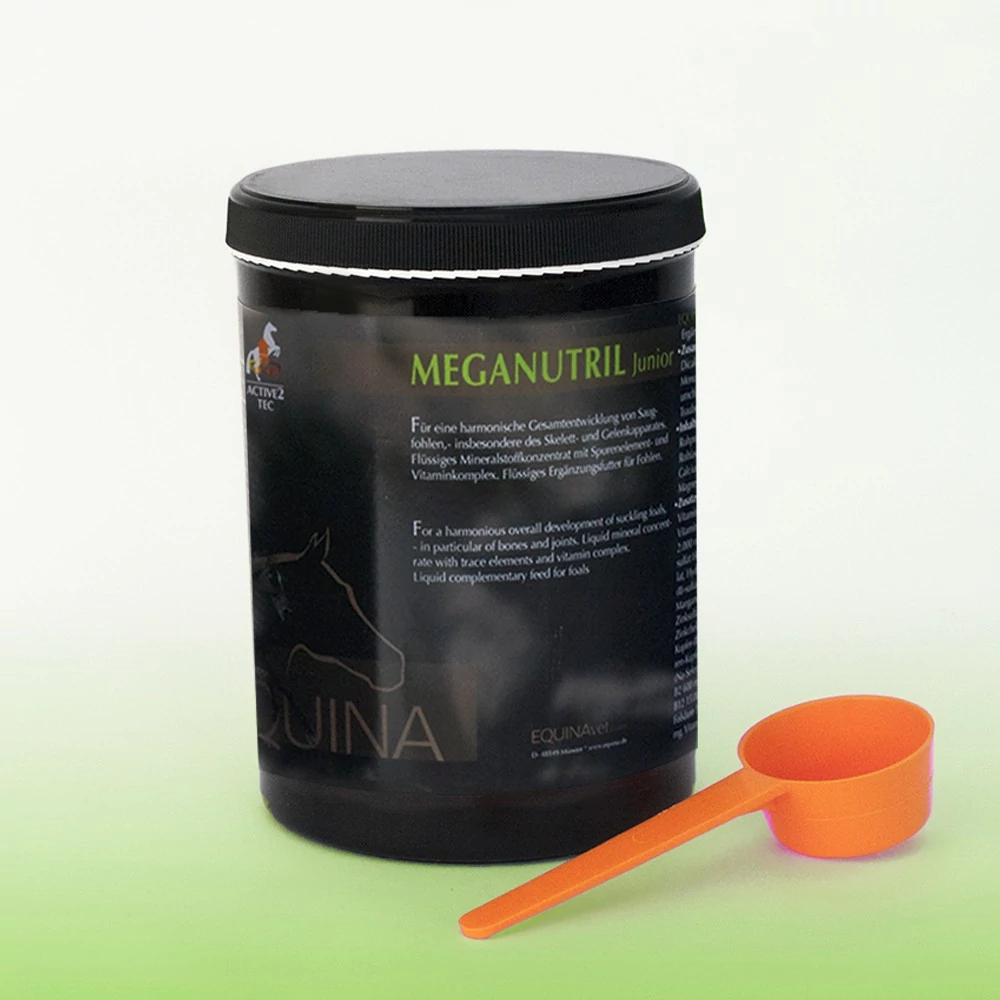 EQUINA MEGANUTRIL JUNIOR CSIKÓ ÉS KANCA VITAMIN 1000GR